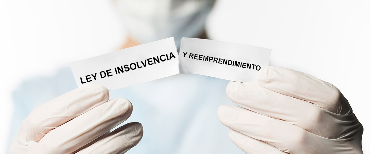 Ley de insolvencia y reemprendimiento