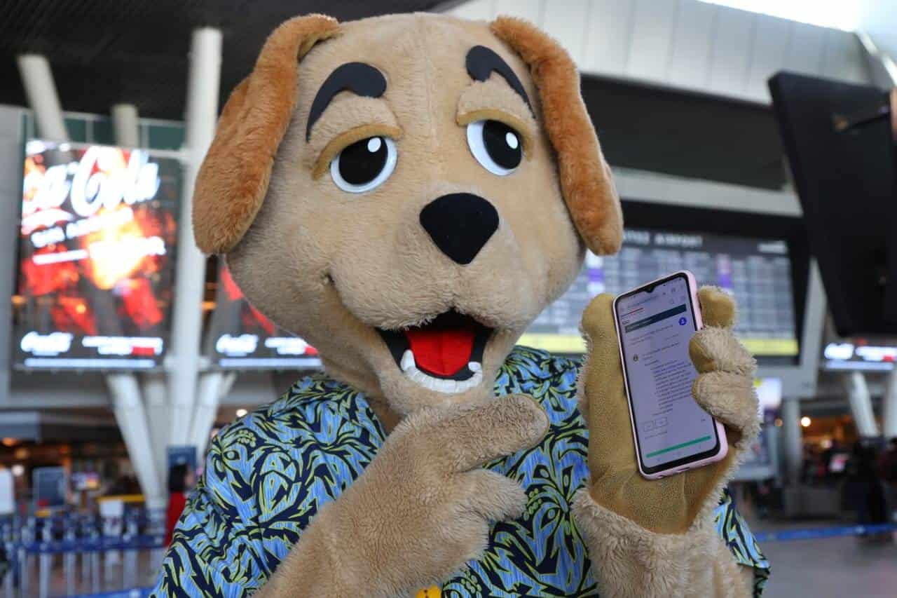 Viajar con tu mascota al extranjero: Todo lo que necesitas saber con el chatbot “Sagüeso”