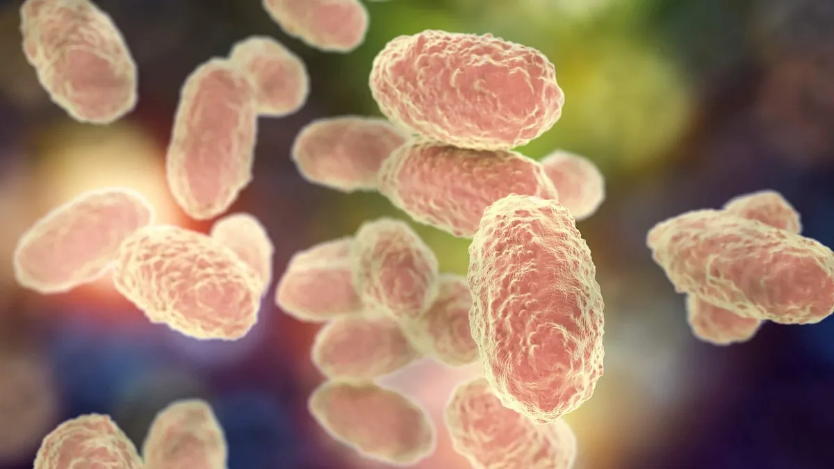 Coqueluche en Otoño: Síntomas, Prevención y Vacunación